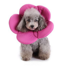 강아지모서리보호대