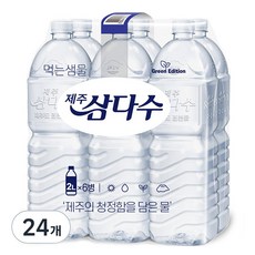 삼다수2l TOP01