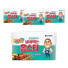 냄새먹는 홈스타 냉장고용 탈취제 유칼립투스, 420g, 4개