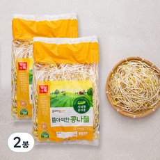 곰곰 아삭한 콩나물, 500g,