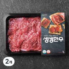 생생한우 1등급 불고기용 (냉장), 300g, 2개 300g × 2개 섬네일