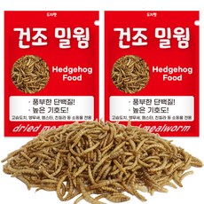 리프패럿 도치펫 반려동물 건조밀웜, 150g, 2개