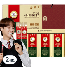 풍년보감 고려홍삼정 에브리데이 골드 홍삼스틱 30포 선물세트 + 쇼핑백, 300g, 2세트