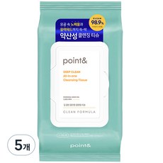 포인트앤 딥클린 올인원 클렌징티슈, 80매입, 5개