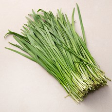 곰곰 부추, 300g, 1개