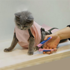 PETPRO貓咪美容外出包 粉紅色 S, 1個