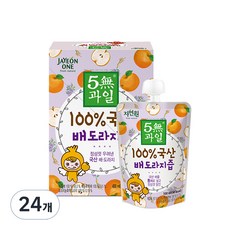 자연원 100% 국산 배도라지즙, 100ml, 24개 24개입, 100ml