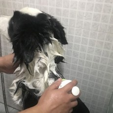 아리코 DrMini 양이 아지 전용 목욕 브러시 헤드, 화이트, 1개