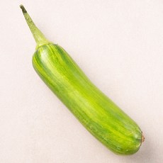 GAP 진주 애호박, 1개, 240g