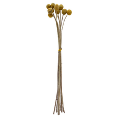 黃金球小號, 0.8~1.5cm*10, 10支入, 小號