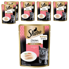 쉬바 주니어 고양이 닭고기 무스 간식파우치, 닭, 70g, 6개