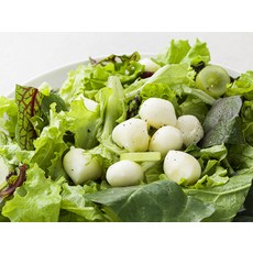 곰곰 후레쉬 모짜렐라 보코치니, 300g, 1개 - 이미지 3