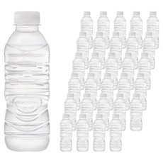 아이시스 생수 화이트캡 무라벨, 60개, 300ml