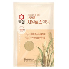 백설 브라운 자일로스 설탕, 5kg, 1개