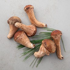 국내산 참송이버섯, 150g, 1개