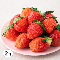 한반도 한단 금실딸기 대과, 500g, 2개