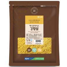 농협 하나로라이스 강황쌀, 1개, 1kg