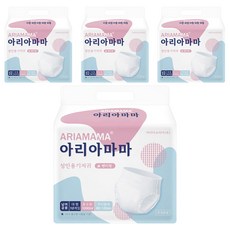 아리아마마 팬티형 성인용기저귀 프리미엄 대형, 10매, 4팩