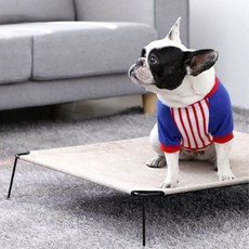 천안원데이클래스애견동반