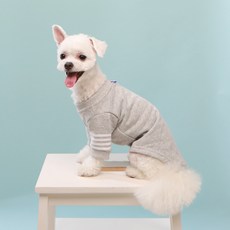쁘띠도그 베이직 강아지 티셔츠, 그레이, 1개