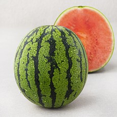 곰곰 맛있는 애플 수박, 1kg, 1개