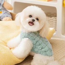 PASTEL PET 寵物素色絨毛背心, 綠色