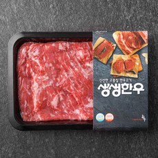 생생한우 1등급 양지 덩어리 국거리용 (냉장), 300g, 1개 300g × 1개 섬네일