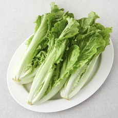친환경 포기생채, 250g, 1개