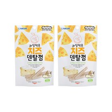 포켄스 과일먹은 치즈덴탈껌 100g, 사과, 2개입