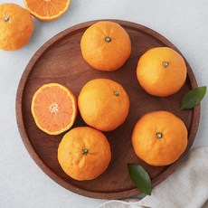 곰곰 GAP 고당도 제주 카라향, 1.2kg(6~12입), 1개
