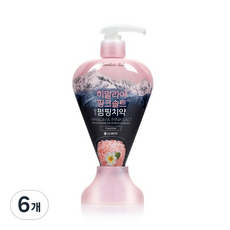 히말라야 핑크솔트 펌핑치약 플로럴, 285g, 6개