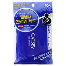 갸스비 아이스 데오도란트 바디 페이퍼 아이스 시트러스, 10개입