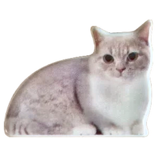 Decole Oh my Cats! 貓咪筷架 陶瓷, 曼赤肯, 1個