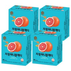 우리차 자몽허니 블랙티, 1g, 40개입, 4개
