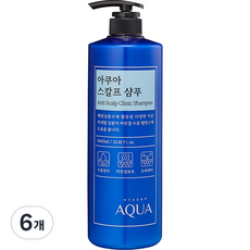 히솝 아쿠아 스칼프 샴푸 시트러스 플로랄 스위트향, 1000ml, 6개