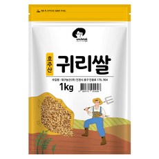대양쌀귀리