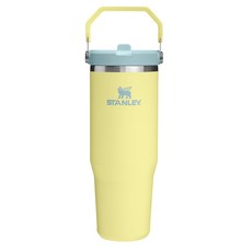 스탠리 아이스플로우 플립 스트로 2.0 텀블러, 포멜로, 887ml, 1개 보온/보냉용품 스탠리 아이스플로우 플립 스트로 2.0 텀블러, 포멜로, 887ml, 1개 보온/보냉용품