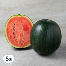 한반도 까망 애플수박, 1kg 미만, 5개