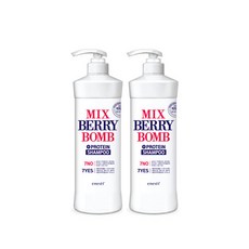 에네스티 약산성 믹스베리 단백질 폭탄 샴푸, 1kg, 2개