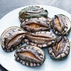 아라보감 ASC 인증 국내산 전복 중 (냉장), 500g(6~7미), 1개