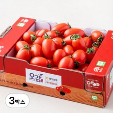 세도농협 GAP 인증 대추방울토마토, 1kg, 3박스