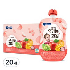 베베쿡 처음먹는 유기농 과일 100ml, 20개