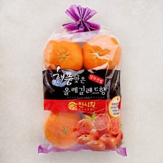 해풍맞은올레길 GAP 인증 당도선별 13brix 레드향 랜덤과, 1개, 1.2kg