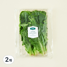 프리미엄 유기농 청상추, 120g, 2개 120g, 2개