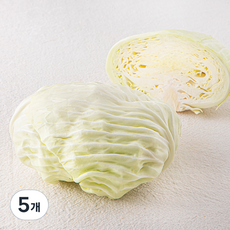 친환경 꼬마 양배추, 500g, 5개, 500g