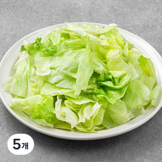 롯데푸드 양상추 슬라이스, 800g, 5개