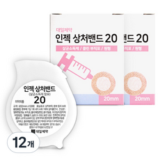 대일제약 인젝 밴드 20, 12개