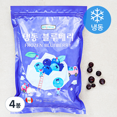 웰프레쉬 냉동 페루산 블루베리 (냉동), 1kg, 4봉