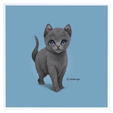 아이비스킷 캔버스액자 20x20 러시안블루, 화이트