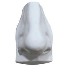 MORYARTS人體鼻子石膏像, 1 個, 20 x 13 厘米